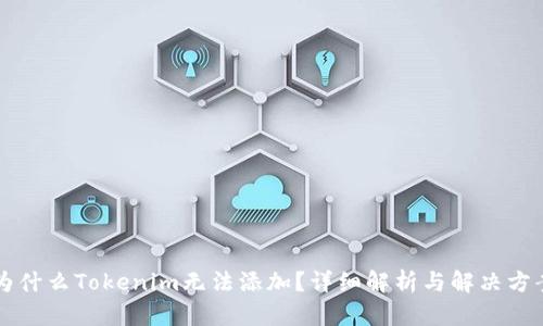 为什么Tokenim无法添加？详细解析与解决方案